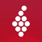 The Bomb Vivino: Exploring the Impact of Innovative Wine App Technology on Enthusiasts