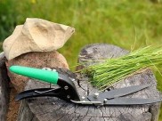 Best Grass Shears for Effortless Gardening: Top Picks for 2023