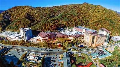 Access Willbet Cherokee Online Casino Login Page Now