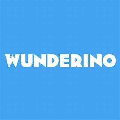 Common Issues and Solutions for Wunderino Login Problems You Need to Know