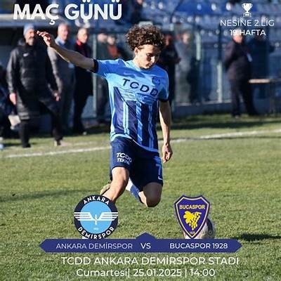 Ankara Demirspor Current Standings and Performance Analysis in the League