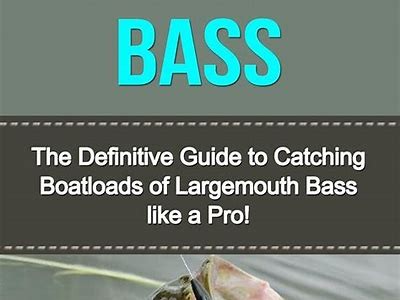 Discover the Ultimate Guide to Catching Any of Big Bass in Freshwater Lakes and Rivers