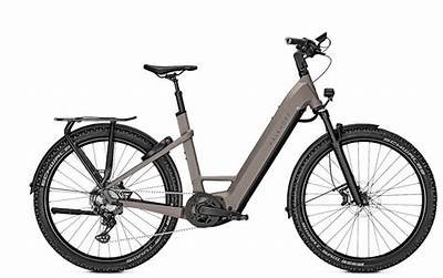 Kalkhoff Durban Electric Bike Detailed Review and Comprehensive Buying Guide for 2024