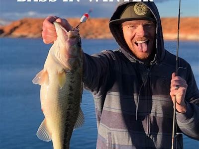 Discover the Ultimate Guide to Catching Any of Big Bass in Freshwater Lakes and Rivers