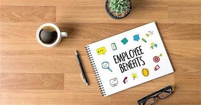 How to Sign In to My Willbet Rewards Account for Exclusive Benefits and Updates