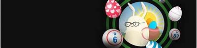 Discover Exciting Games and Big Wins at Unibet Bingo – Your Ultimate Bingo Experience Online